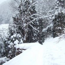 集落から歩いてきた雪道