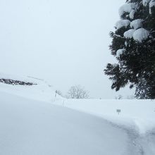 丘へと続く雪道
