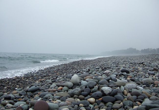 宮崎海岸の小石