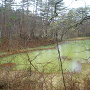 いろんな湖の色が楽しめる、まさに「五色沼」をご堪能！