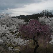 小諸駅から近い有料の公園です