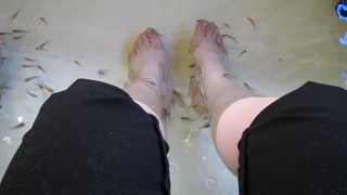 細い路地に盛りだくさん