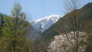 アルプスの山々が美しい