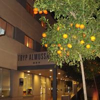 バレンシアオレンジ　観賞用です