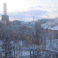 お部屋からの朝の風景