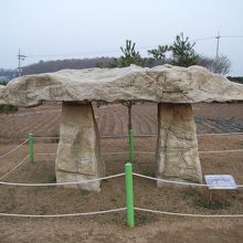 いろいろな江華の北式支石墓が見られます。