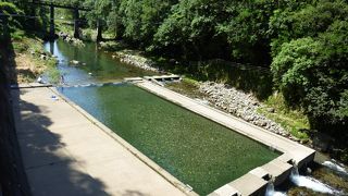 白山川 ---大分県南部の山間を流れる清流です。河川プールもありました。