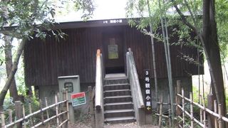 貴重なサンクチュアリ