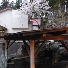 宿の向かいの崖上の露天風呂、狸にあえるかも