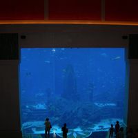 ホテルの中に水族館…