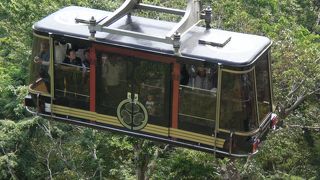 葵の御紋がいい