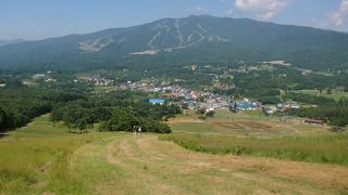 夏のひるがの高原スキー場