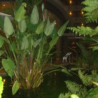 １Fの喫茶ルーム