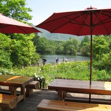 そば屋「泉そば」から望む金鱗湖