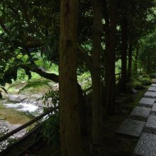 通路横には須雲川
