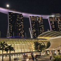 昼もイイけど、夜もね