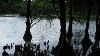 民謡や踊りもよかった