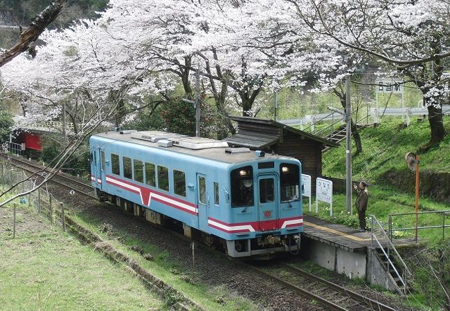 景色のきれいな駅