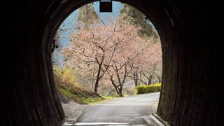 大部川里山公園