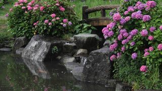 家族で１日楽しめます