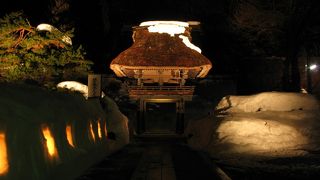 冬のライトアップがキレイ