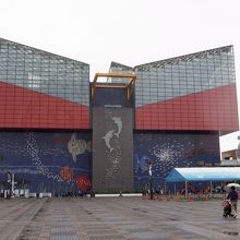 外見も独特です