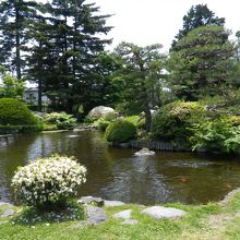 敷地内の日本庭園