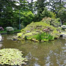 敷地内の日本庭園