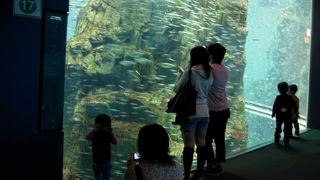 大水槽の周囲を周りながら世界（の海を）一周！