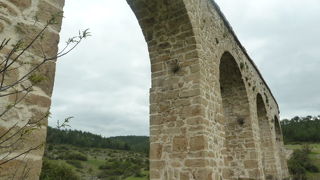 ここ。まじ。むっちゃ怖いです