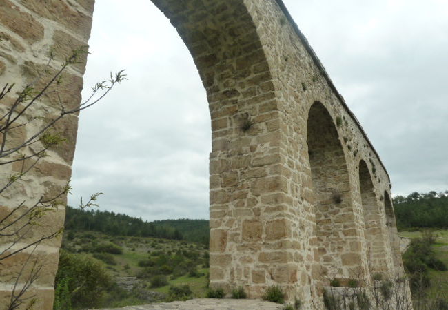 ここ。まじ。むっちゃ怖いです