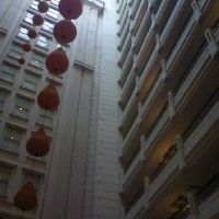 ５階のラウンジから最上階までは吹き抜け