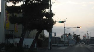 市街地を通る道路沿いの松並木