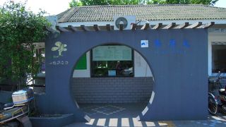 広くよく手入れされた上海植物園はさすが上海です