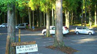 ミヤマキリシマの見頃を迎える平冶岳へ