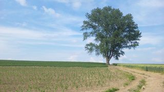 素晴らしい景色