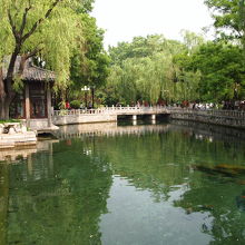 「この街は別格です」