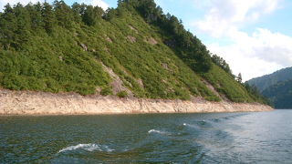 のんびりとした遊覧船でめぐることができます