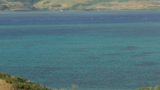 かずやの木が見える展望台