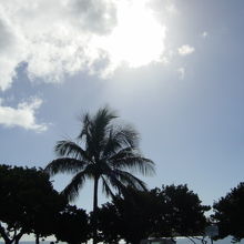 日差しに疲れたら水族館へ行こう