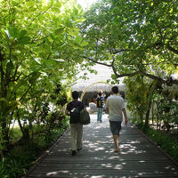 船からおりてエントランスまでの小道