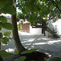 ビーチコテージの外観。