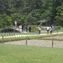 庭園での結婚記念撮影中