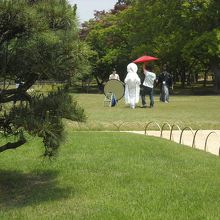 庭園での結婚記念撮影中