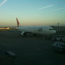 伊丹へ向うＪＡＬ機