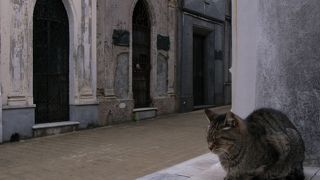 絶対に行くべき