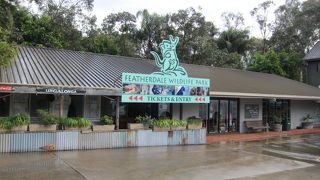 鶏肉・・・鳥好きにはたまらない動物園。