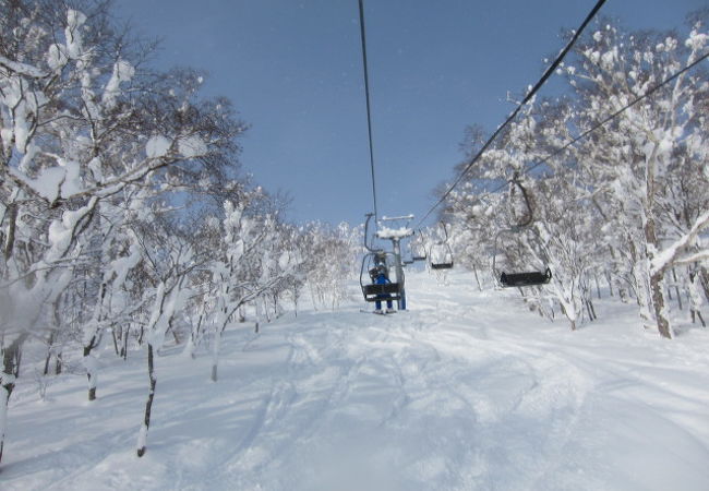 北海道のスキー場 クチコミ人気ランキングtop40 フォートラベル
