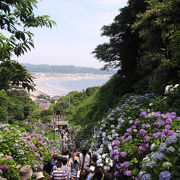 階段の段数は