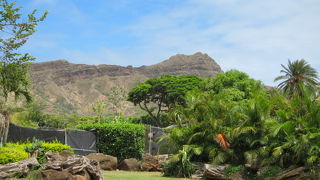 デブ（私！）でも登れていい運動になるトレッキングルート！